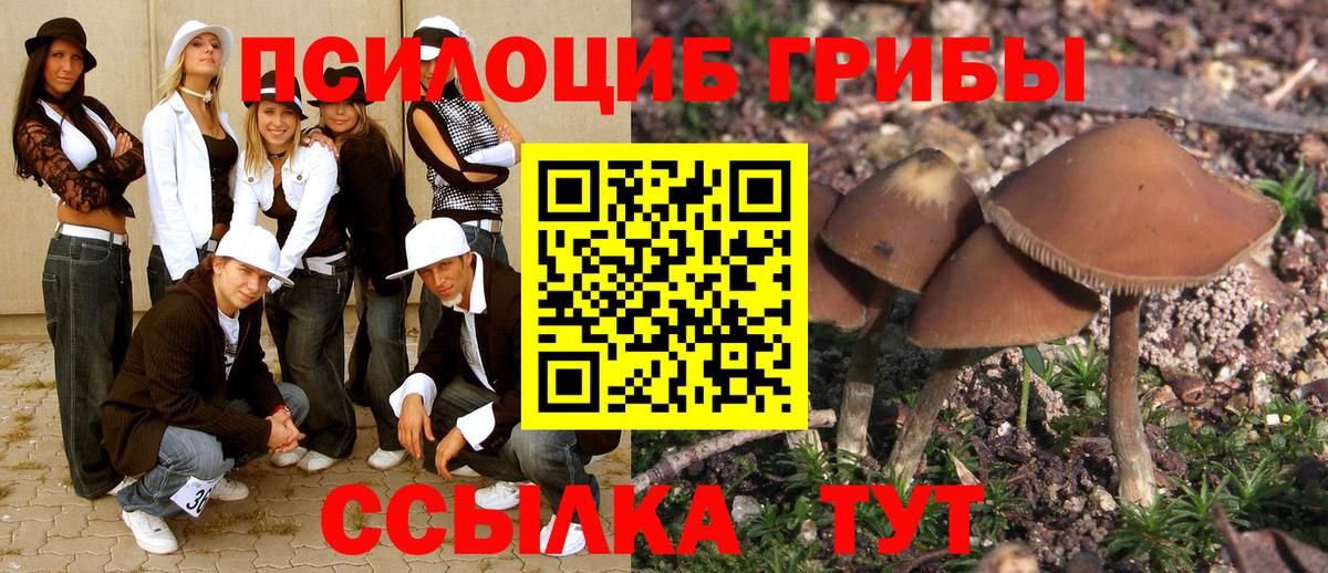закладки  Псилоцибиновые грибы мухоморы  Нефтекамск  Псилоцибиновые грибы MAGIC MUSHROOMS 