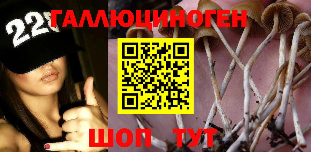 Псилоцибиновые грибы Magic Shrooms Нефтекамск